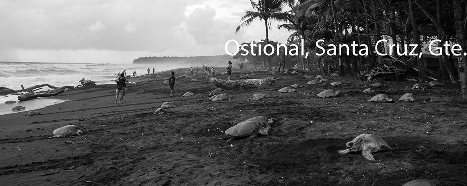 Cabinas Surf Arribadas Ostional Wildlife Refuge Exterior photo